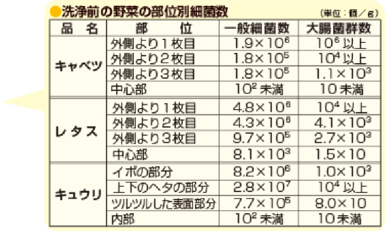 洗浄前の野菜の部位別細菌数