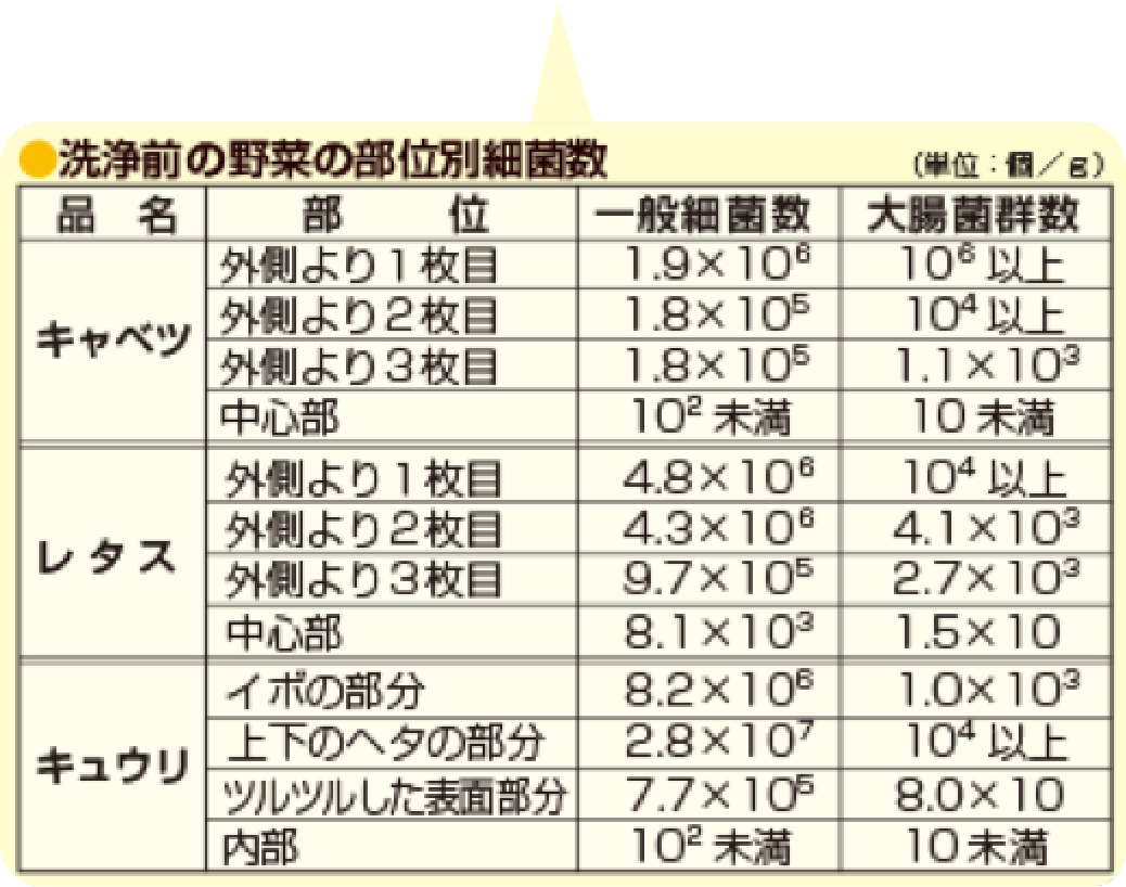 洗浄前の野菜の部位別細菌数