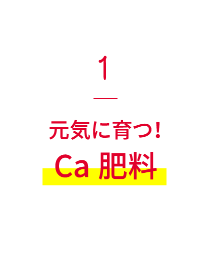 1元気に育つ！Ca肥料