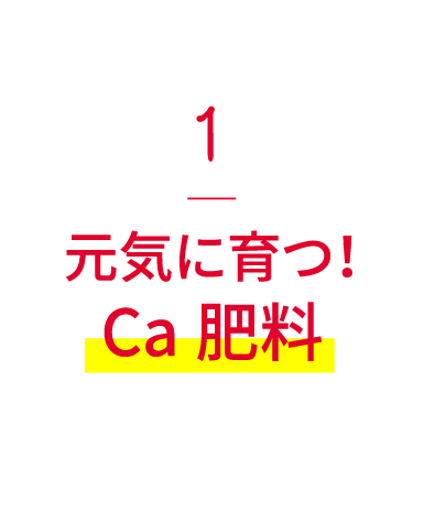 1元気に育つ！Ca肥料